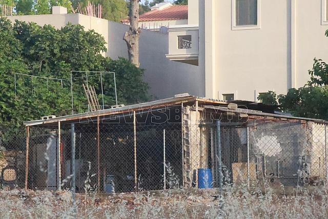 δολοφονία Διόνυσος