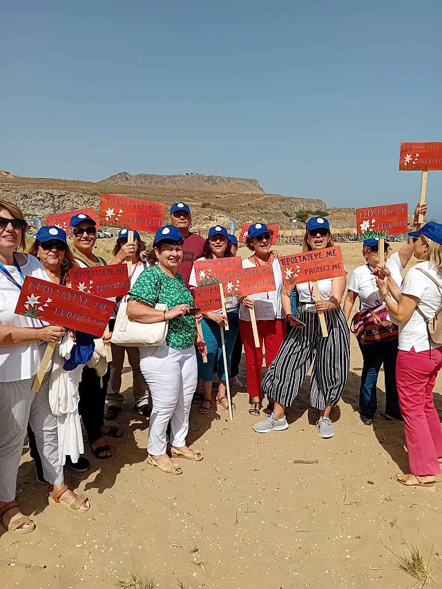 ΚΡΙΝΑΚΙΑ ΤΗΣ ΑΜΜΟΥ