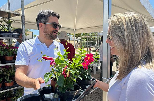 σημανδηρακης