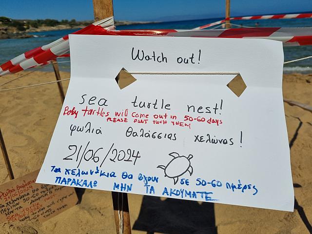 Φωλιά θαλάσσιας χελώνας και στη παραλία του Καλαθά