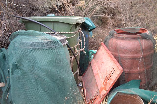  δενδρύλλια 