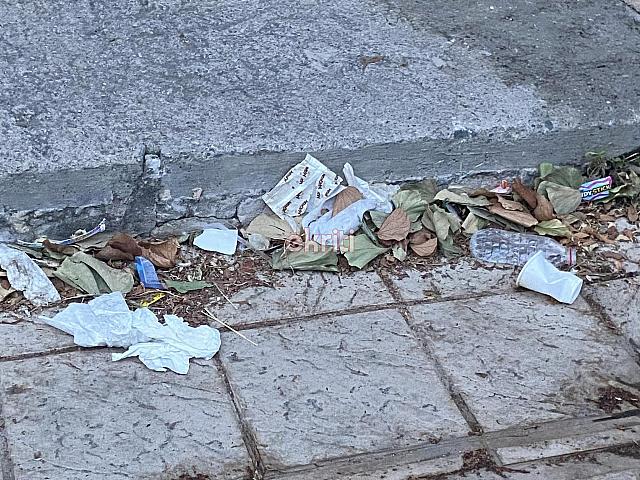 σκουπίδια παρασκευοπούλου