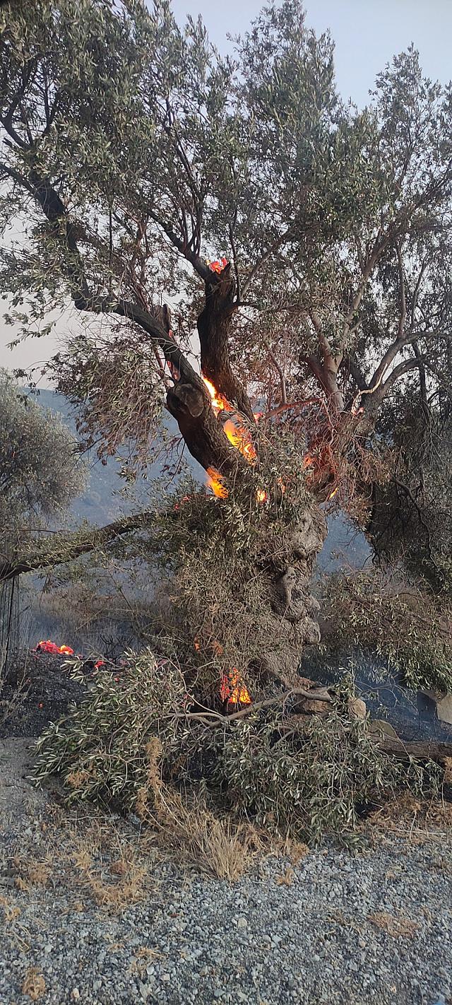 Φωτιά στο Ρέθυμνο