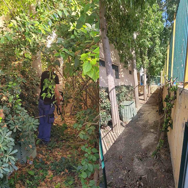 ΠΡΑΣΙΝΟ ΣΧΟΛΕΙΑ