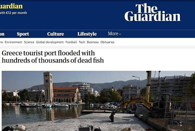 νεκρά ψάρια