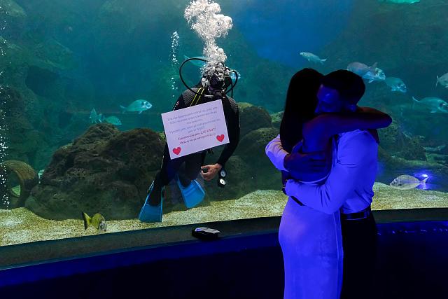 προταση γαμου ενυδρειο