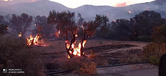 Φωτιά στο Ρέθυμνο