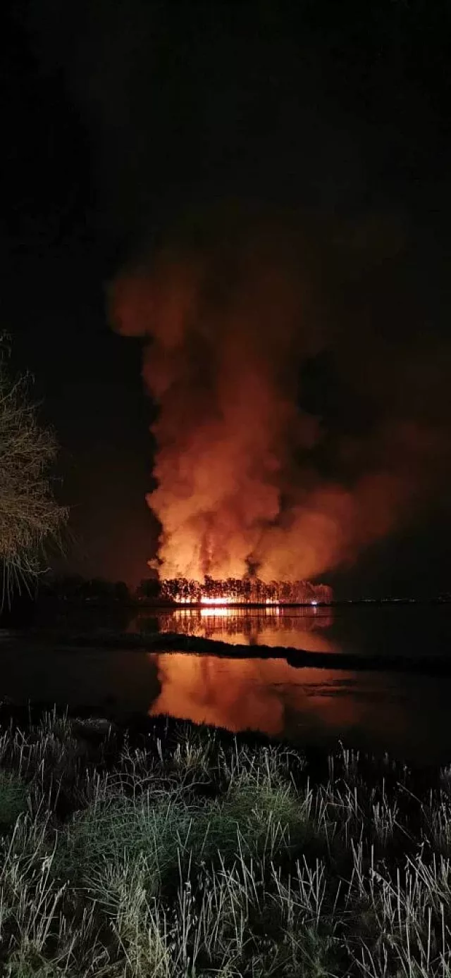 φωτια μεσολλογγι