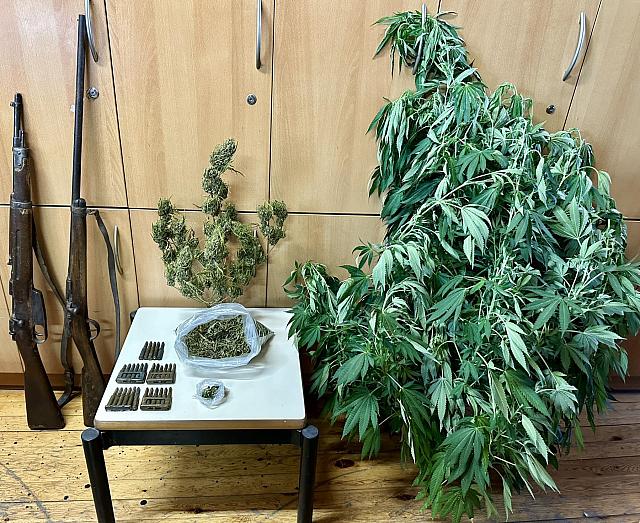 κάνναβη ρέθυμνο