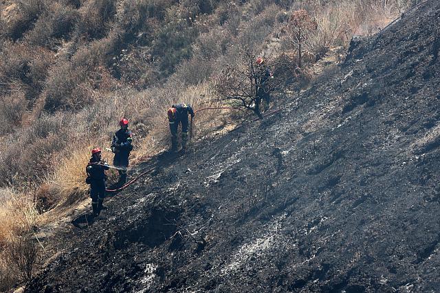 Φωτιά στην Λοφούπολη