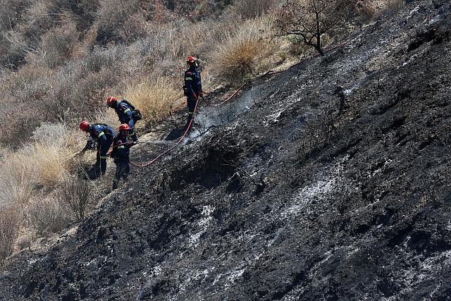 Φωτιά στην Λοφούπολη