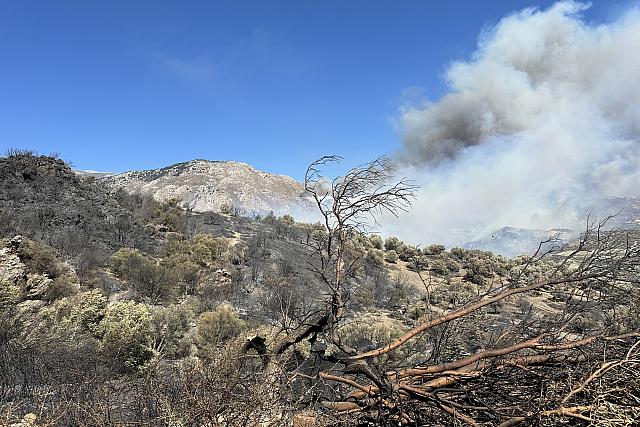 φωτιά ρεθυμνο