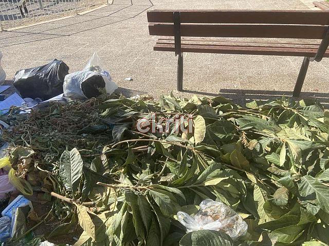 σκουπίδια παρασκευοπούλου