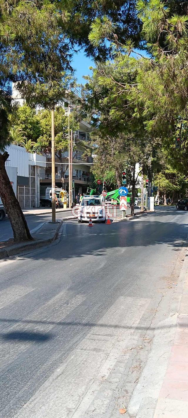 σμπώκου δέντρο