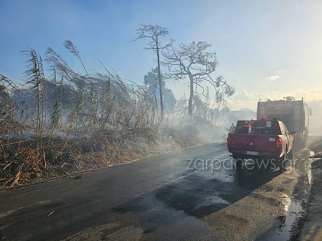 φωτια πλατανιας