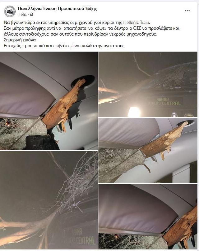 τρενο έπεσε σε δενδρα