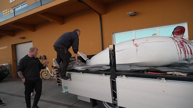 ΦΑΛΑΙΝΑ ΚΑΤΑΣΚΟΠΟΣ