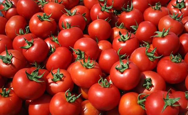 ντομάτες