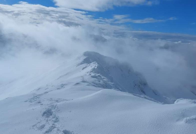 κορυφησπαθί-Μπάμπης Φαλαγαρας