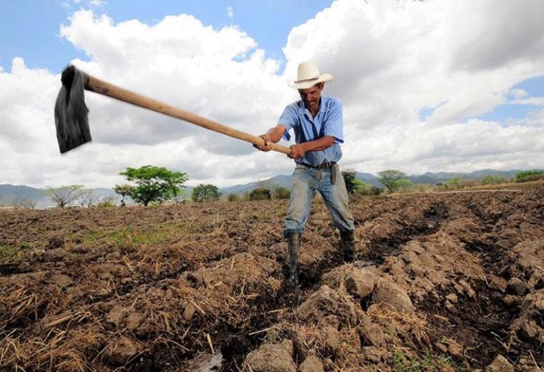 εργάτης γης