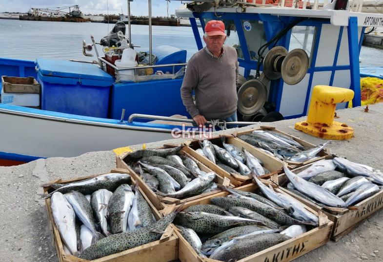 λαγοκέφαλοι ιεράπετρα