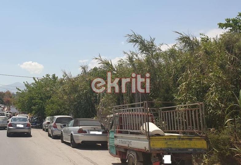 Ζούγκλα από καλάμια και ξερά χόρτα