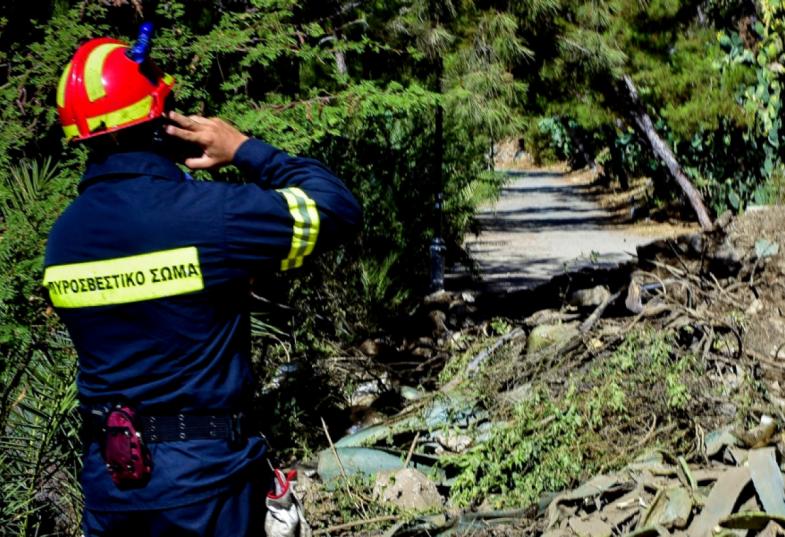 ΠΥΡΟΣΒΕΣΤΙΚΗ ΕΡΕΥΝΕΣ