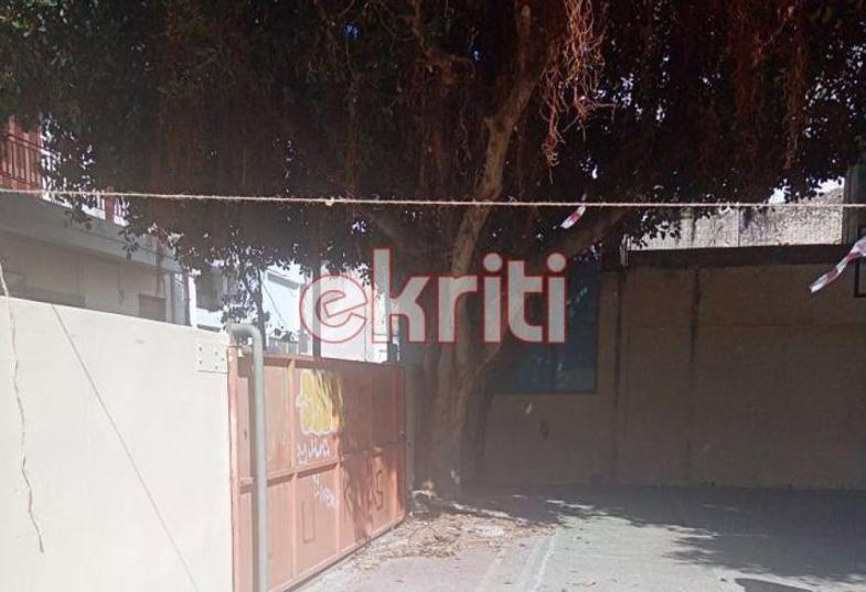 Ηράκλειο: Το δέντρο κρέμεται πάνω από τα κεφάλια μαθητών