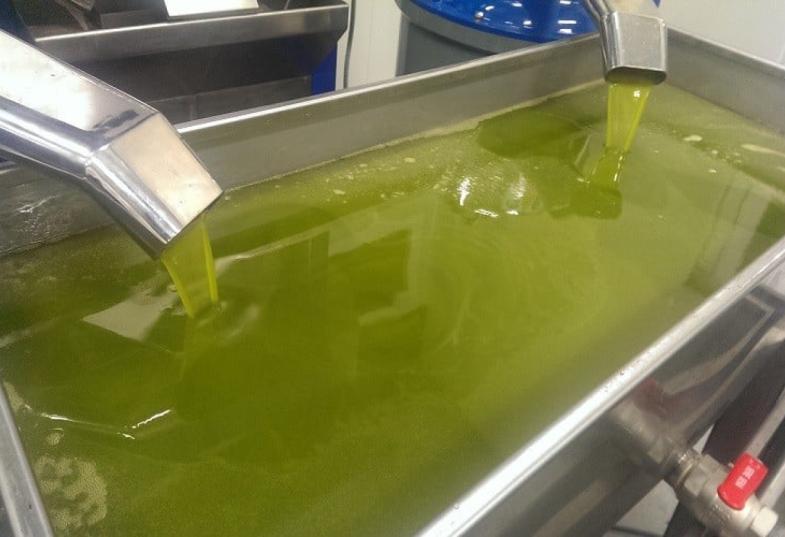 ελαιουργείο