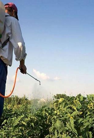 φυτοφάρμακα