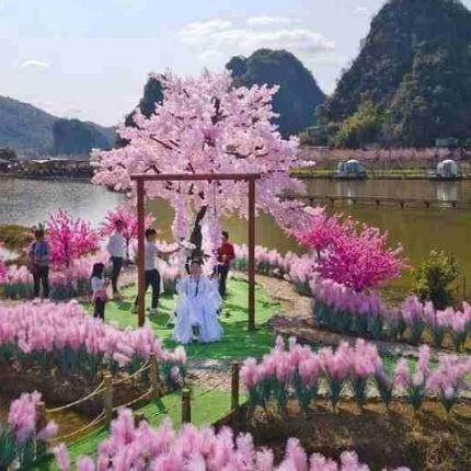 το νησι της χαμενης αγάπης