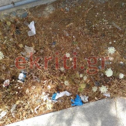 Εικόνες ντροπής έξω από το ΠΑΓΝΗ