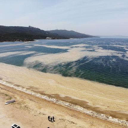 βλέννα τουρκία