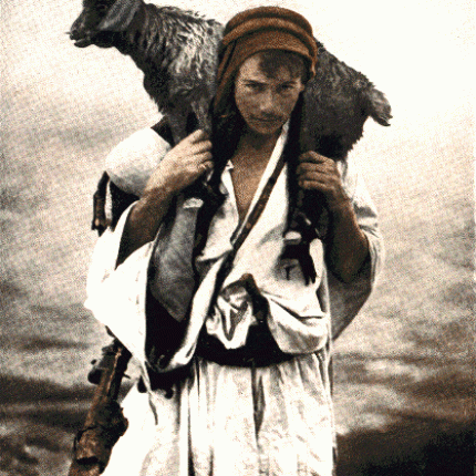 Πρόβατα από .. χρυσάφι. Μία κρητική υπόθεση 90 αιώνων