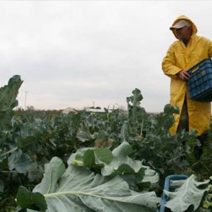 Παρατείνεται έως τέλος Απριλίου η ασφαλιστική κάλυψη από τον ΟΓΑ