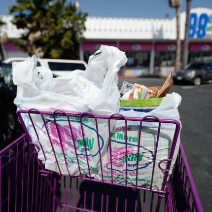 Απαγορεύτηκαν οι πλαστικές σακούλες στην Καλιφόρνια