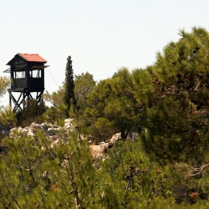 Αλλαγές από την κυβέρνηση στο άρθρο που προωθεί μεταβολές στη δασική νομοθεσία