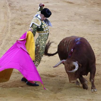 ταυρομαχίες