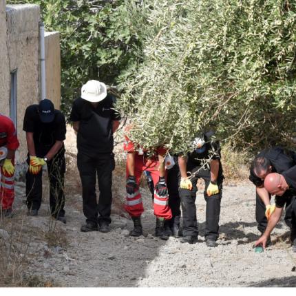 Daily Mirror, μικρος Μπεν