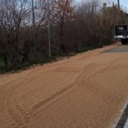 «Πλημμύρισε» με σιτάρι η Εθνική Οδός .jpg