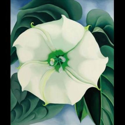 Έργο της Τζόρτζια Ο' Κιφ πωλήθηκε 44,4 εκατ. δολάρια 