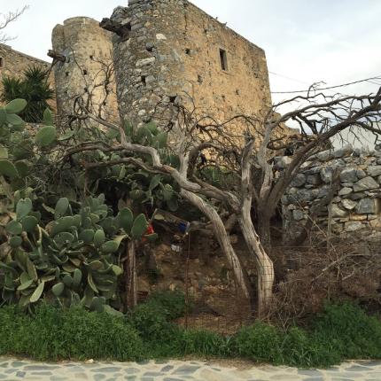 Οι παραδοσιακοί μύλοι