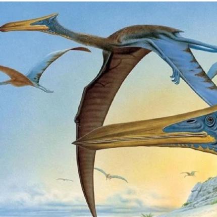 ΠΤΕΡΟΣΑΥΡΟΣ