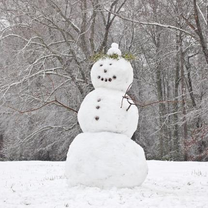 χιονανθρωπος