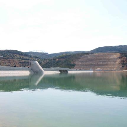 ΟΑΚ Βαλσαμιώτη