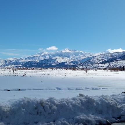 Εντυπωσιακές εικόνες από το χιονισμένο Οροπέδιο Λασιθίου 