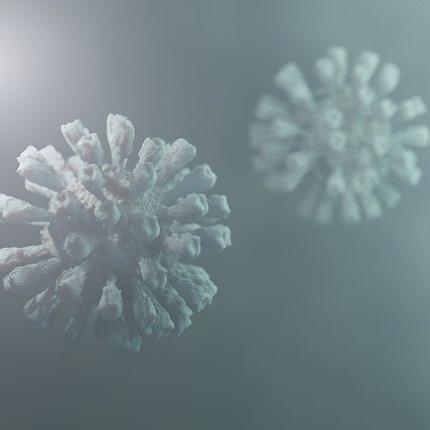 κορωνοϊός