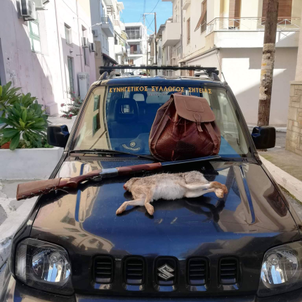 κυνηγι λαγος