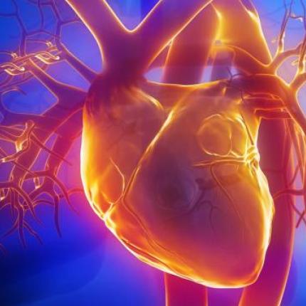 καρδια αγγεια