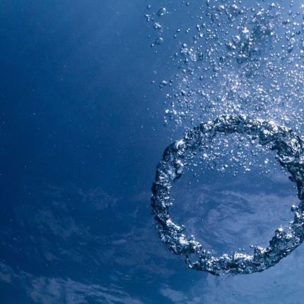 Εκδήλωση στο Ενυδρείο Κρήτης από την Περιφέρεια Κρήτης 